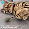 Petlando Earthcat Catnip Hantel