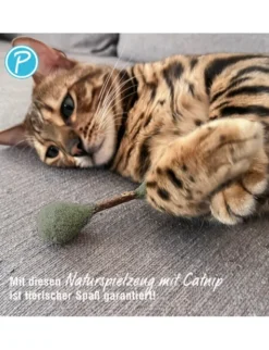 Petlando Earthcat Catnip Hantel