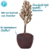 Petlando Earthcat Catnip Lavendel