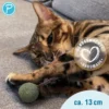Petlando Earthcat Catnip Lolli