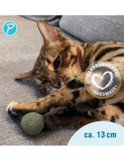 Petlando Earthcat Catnip Lolli