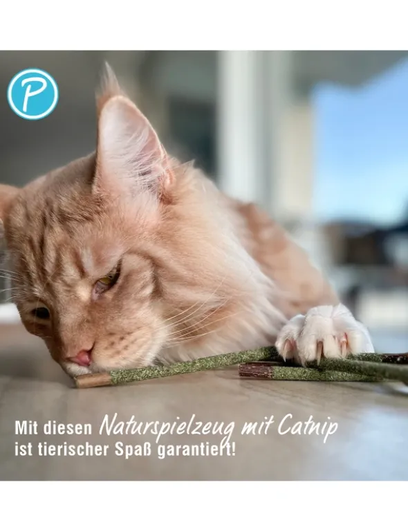 Petlando Earthcat Catnip Mikado 8er