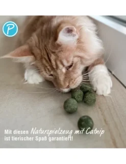Petlando Earthcat Catnip Mini Ball 5er