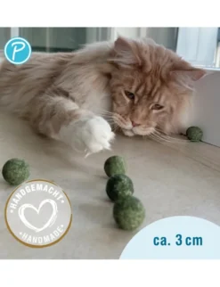Petlando Earthcat Catnip Mini Ball 5er
