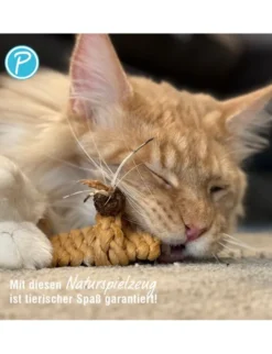 Petlando Earthcat Catnip Schuh
