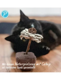 Petlando Earthcat Catnip Sonnenblume