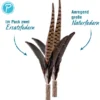 Petlando Earthcat Ersatz Fasanenfedern 2er