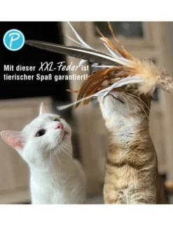 Petlando Earthcat Ersatz Gänsefedern 2er