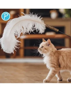 Petlando Earthcat Katzenangel Straußenfeder für Dsp. 155 cm