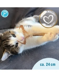 Petlando Earthcat Silverline Federstift