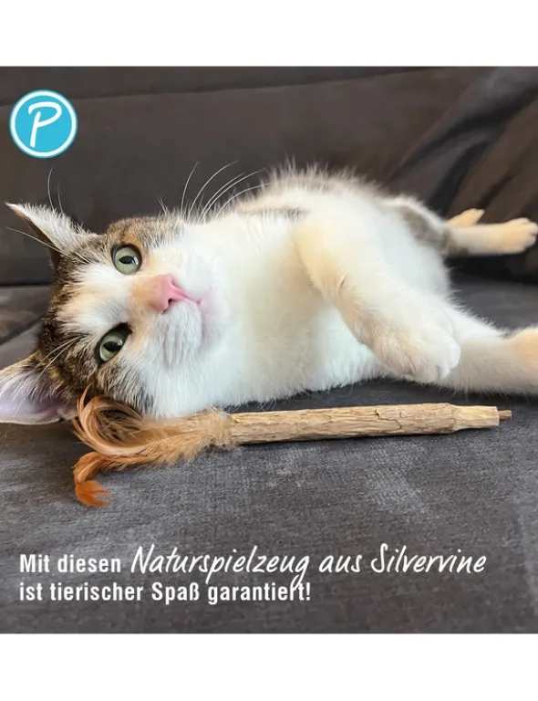 Petlando Earthcat Silverline Federstift