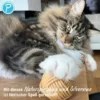 Petlando Earthcat Silverline Papierball