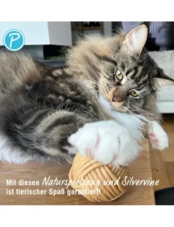 Petlando Earthcat Silverline Papierball