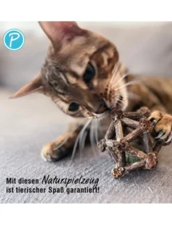 Petlando Earthcat Silverline Planet