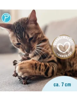 Petlando Earthcat Silverline Planet