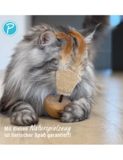 Petlando Earthcat Silverline Ziege
