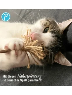 Petlando Earthcat Silverline Zauberbesen
