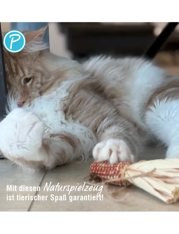 Petlando Earthcat Silverline Goldfisch
