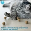 Petlando Earthcat Silverline Mini Ball 5er