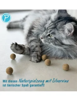 Petlando Earthcat Silverline Mini Ball 5er