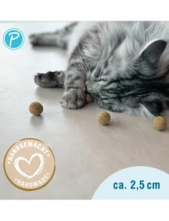 Petlando Earthcat Silverline Mini Ball 5er