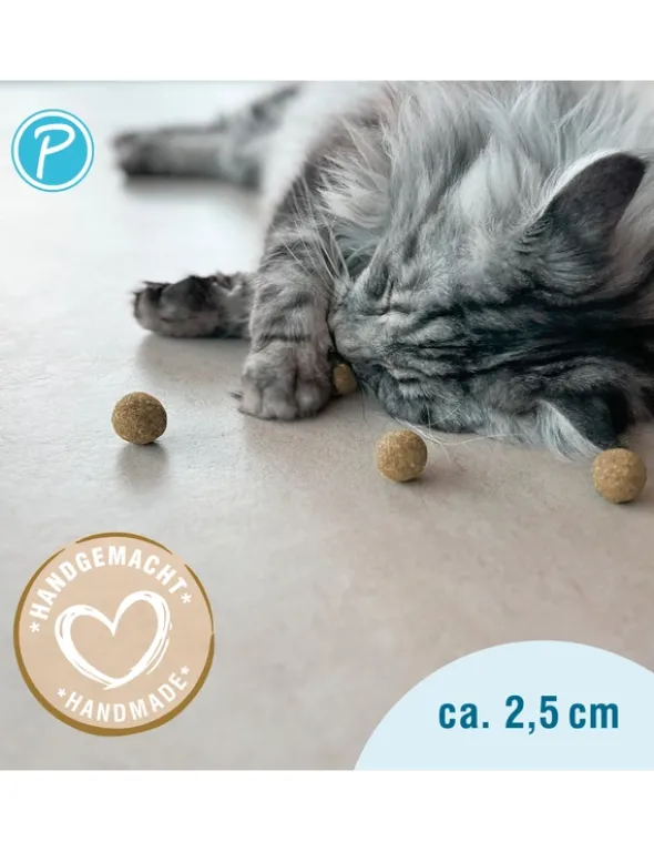 Petlando Earthcat Silverline Mini Ball 5er