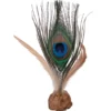 Petlando Earthcat Silverline Federball Pfau