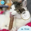 Petlando Earthcat Silverline Eis am Stiel