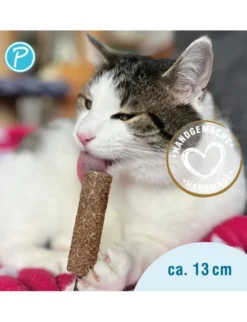 Petlando Earthcat Silverline Eis am Stiel