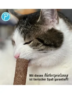 Petlando Earthcat Silverline Eis am Stiel