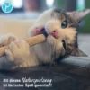 Petlando Earthcat Silverline Sandwich 2er