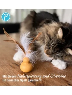 Petlando Earthcat Silverline Flaschenkürbis