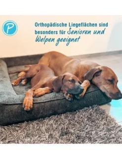 Petlando Hundebett Korfu Ortho anthrazit 100 x 70 cm