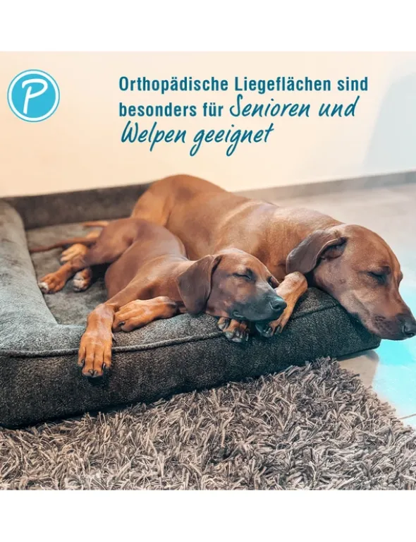 Petlando Hundebett Korfu Ortho anthrazit 100 x 70 cm