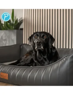Petlando Hundebett Linz Ortho anthrazit 90 x 70 cm