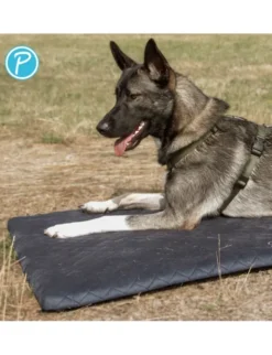 Petlando Hundematte Starlight schwarz 60 x 40 cm