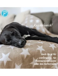 Petlando Kuscheldecke Stars beige 100 x 70 cm