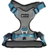 Petlando Magnetech Geschirr anthrazit, petrol XS