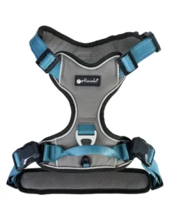 Petlando Magnetech Geschirr anthrazit, petrol XS