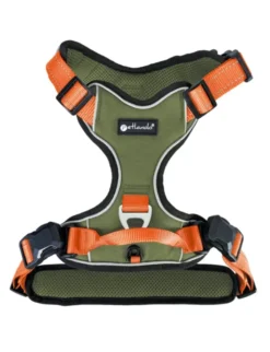 Petlando Magnetech Geschirr orange, olivgrün XS