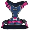 Petlando Magnetech Geschirr fuchsia, marine XS