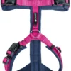 Petlando Magnetech Y-Comfort fuchsia, marine XS