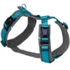 Petlando Magnetech Y-Comfort anthrazit, petrol XS