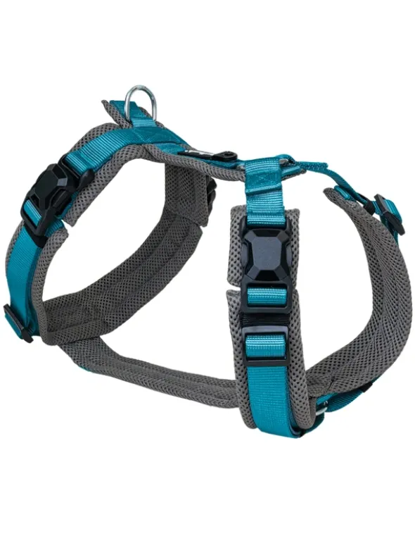 Petlando Magnetech Y-Comfort anthrazit, petrol XS