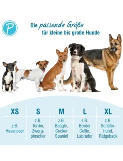 Petlando Mesh Halsband petrol 18/2,0 cm