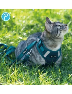 Petlando Mesh verstellbare Führleine petrol 2,3 m/ 15 mm
