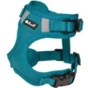 Petlando Mesh Vest petrol 18-26 cm