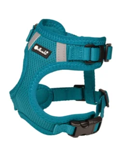 Petlando Mesh Vest petrol 18-26 cm