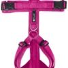 Petlando Mesh Y-Comfort Geschirr fuchsia XS