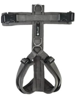 Petlando Mesh Y-Comfort Geschirr anthrazit XS